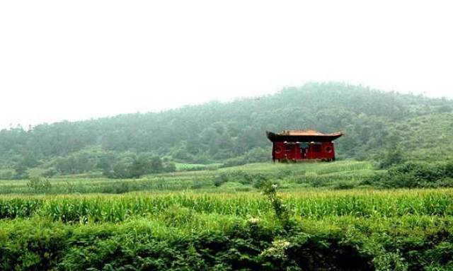 77,中泉寺 地址:确山境内