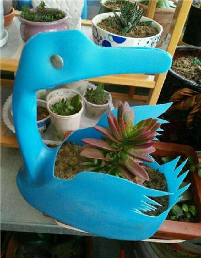 ϴҺƿӱ!ּ仨,ʦ̫