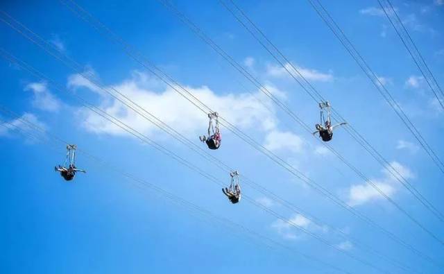 全国4天5亿人次出游,抖音快手捧红的网红城市