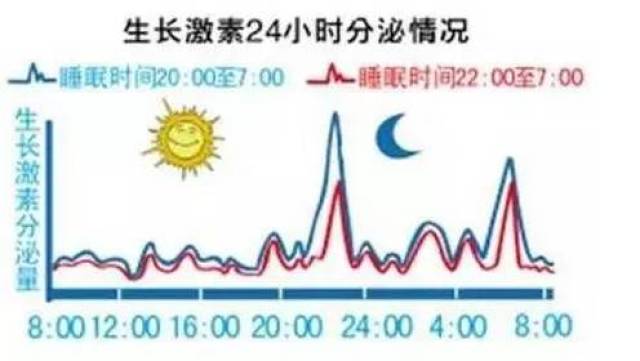 婴儿期时,不管是白天还是晚上,脑垂体在不断地分泌生长激素,所以1岁