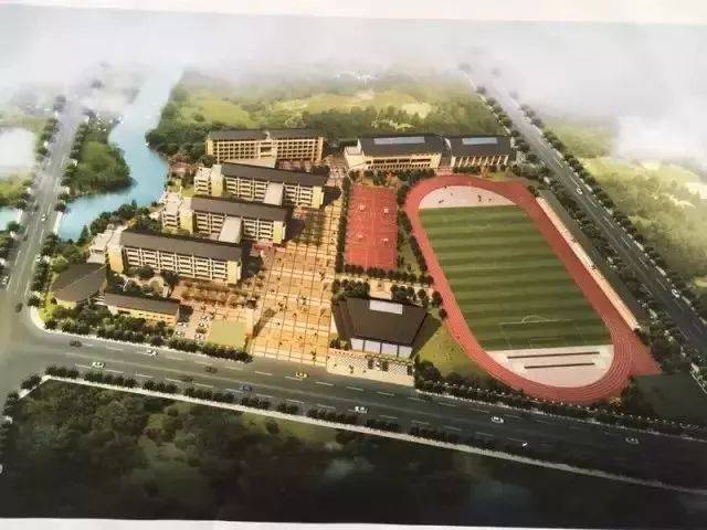 苍南新区有哪些"好"学校,你知道吗?