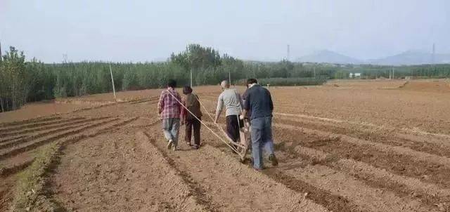 那时候还没有这么先进机器,种地全靠人拉或牛拉耧(lóu)播种小麦.