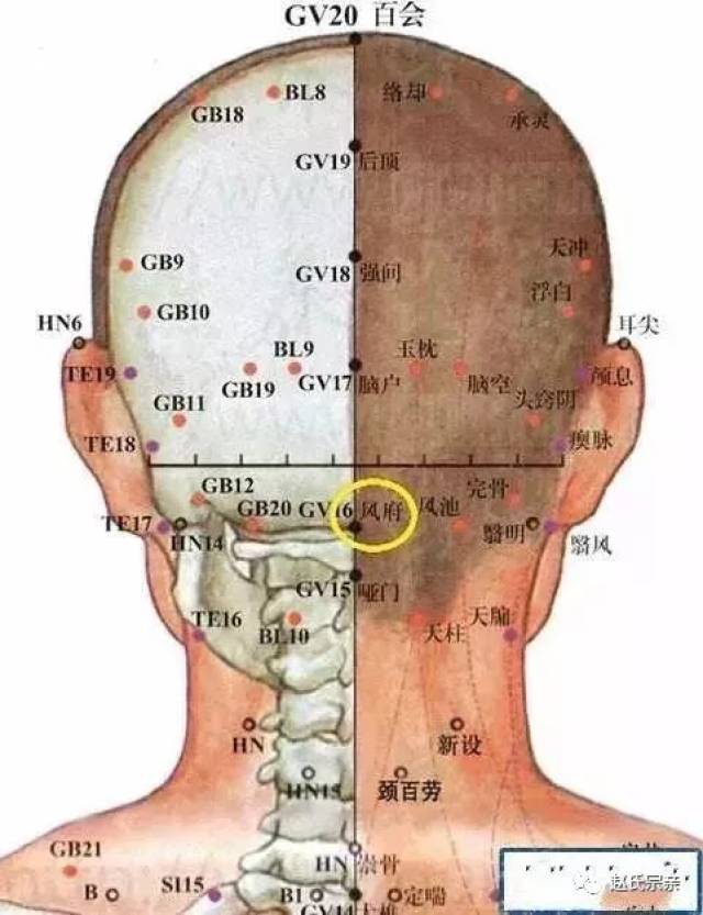 9穴) 天突颈前下凹阙,喉上微陷取廉泉 人迎扶突平喉结,相挟颈筋内外缘