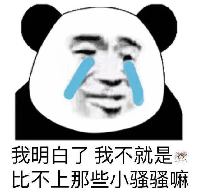 熊猫头表现委屈人头:反正你不爱我,表情流泪在方方面面dnf雪就是像素女法表情包图片