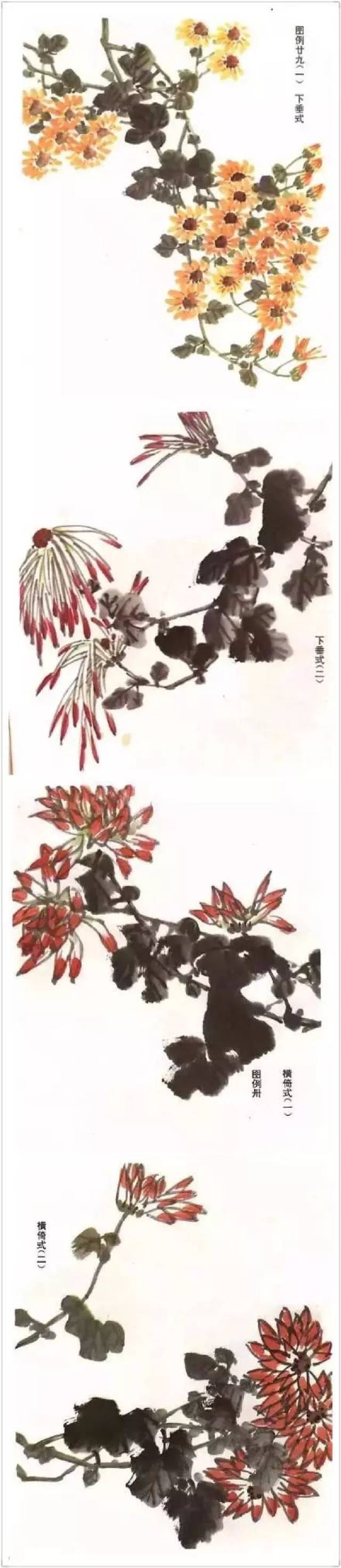 国画基础教学:国画菊花绘画技法教程