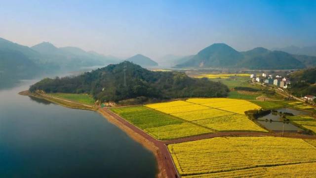 同山镇绿剑美丽田园