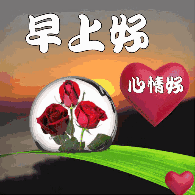 特别漂亮早上好表情图动态 最美早安问候语图片带字温馨