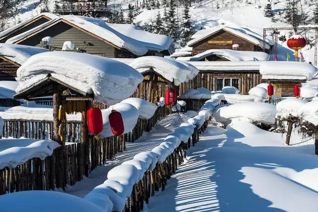 12月21日-30日 冬日向海鹤舞飞翔,吉林雾凇,长白山,中国第一雪乡