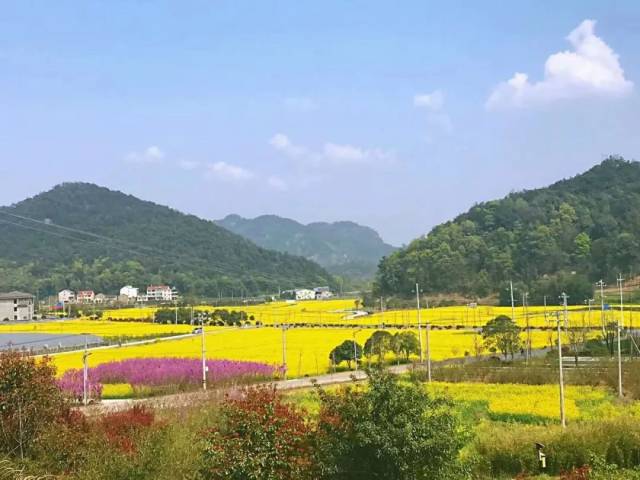 诸暨这两个地方要出名了,风景实在太美,你去过吗?