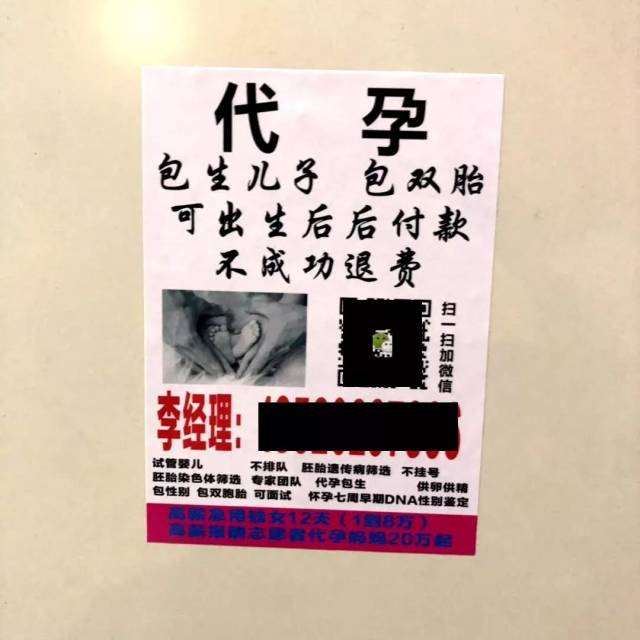 博罗惊现
