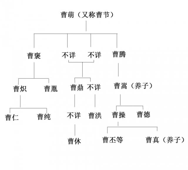 曹仁曹洪与曹操什么关系