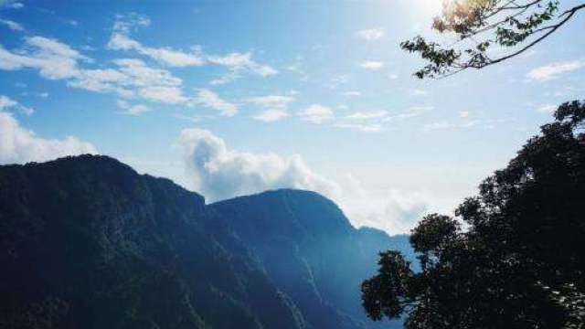 四川黑竹沟恐怖诡异 屡屡"吃人"