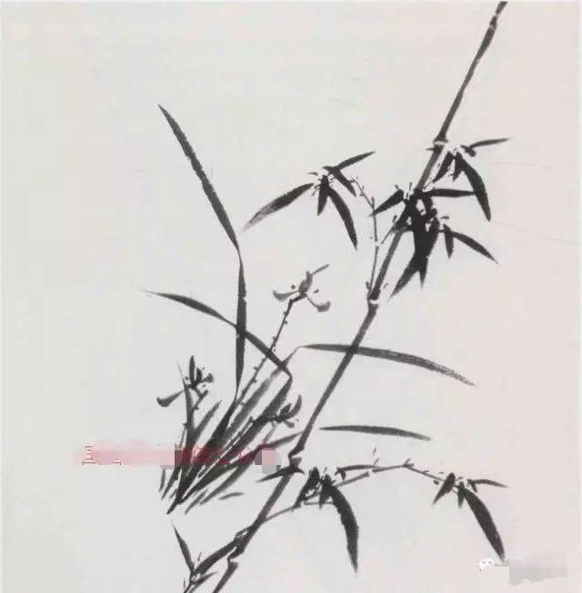 水墨兰竹写意画,写意兰竹画法步骤示范