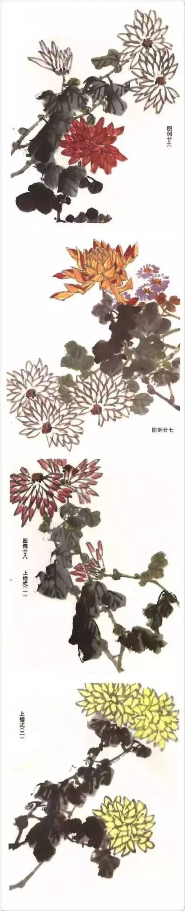 国画基础教学:国画菊花绘画技法教程