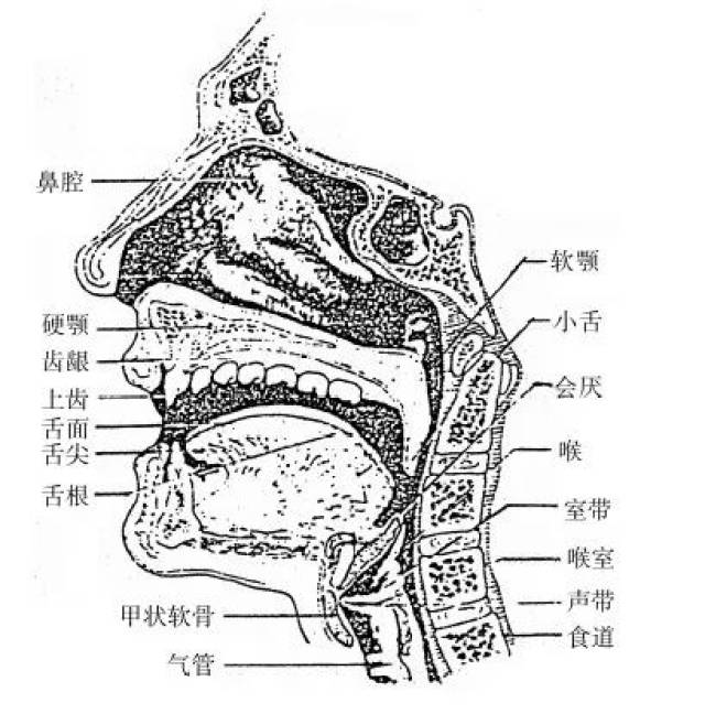 【唱歌技巧】三大秘方教你如何解决唱歌时下巴和舌根僵硬的问题