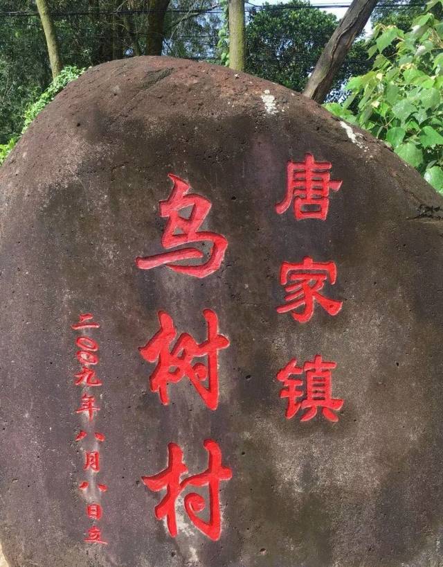 打死马村?灵界村?看到最后吓懵了!