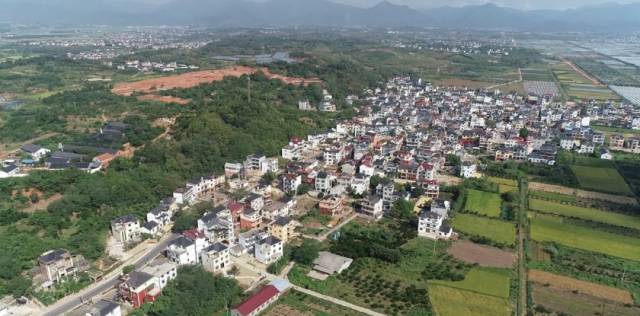 走遍衢州|莲花镇:现代农业造出4a景区