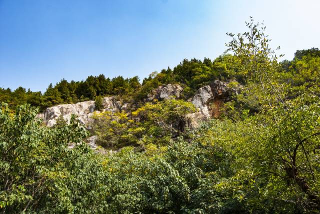 登山探寻徐州九里山古战场,沧海桑田几千年,寻觅当年的战争遗迹