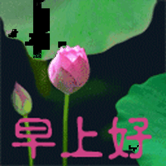早上好动态图片带鲜花 早上好动态表情图片大全