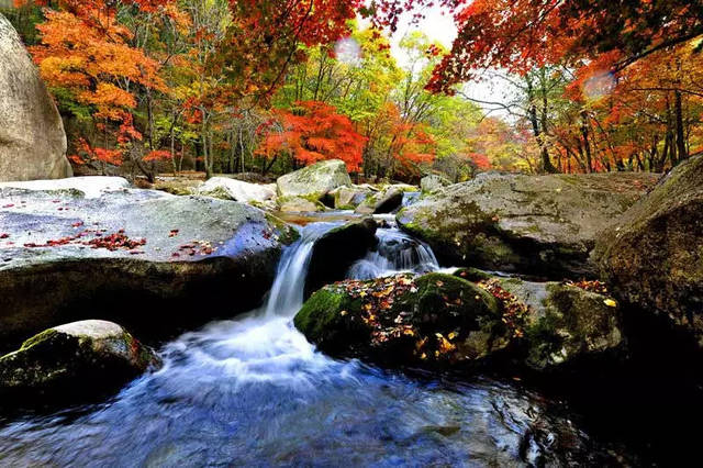 10.14 本溪龙道沟 赏枫叶看山水