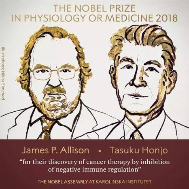2018 年诺贝尔生理学或医学奖揭晓