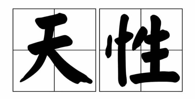 【知识点】释放天性的教育不等于没规矩