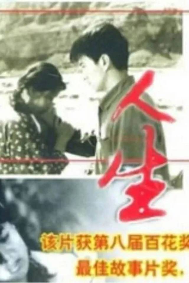 新时代新丝路新视界丨第五届电影国际电影节开幕式暨西影60周年胆肝相照丝路图片