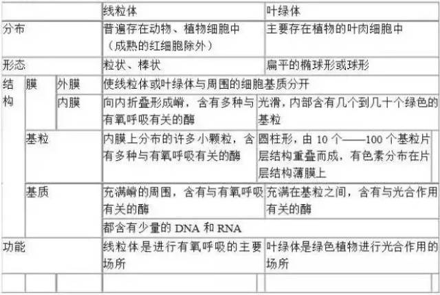 线粒体和叶绿体的比较