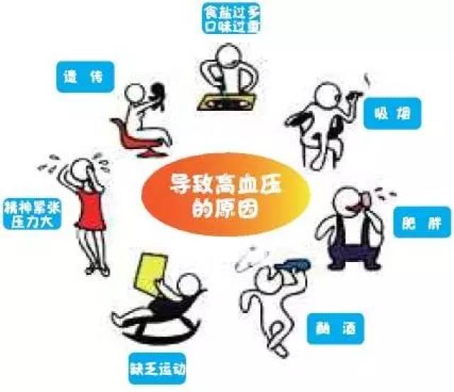 【全国高血压日科普】高血压科普小问题