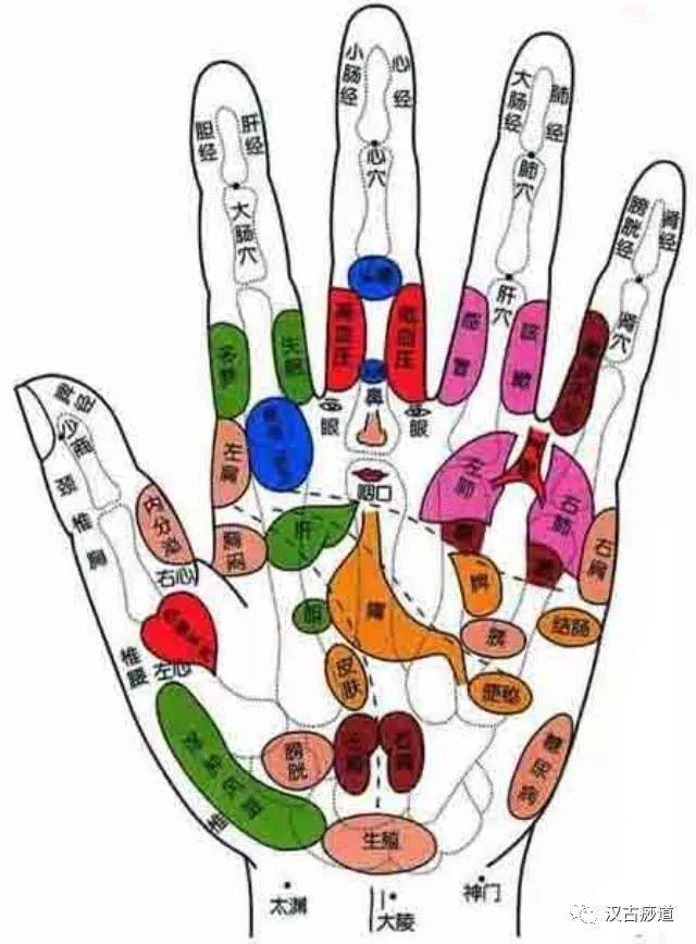 下面介绍一下手掌,手背以及五个手指的运动养生小技巧,以飨读者.