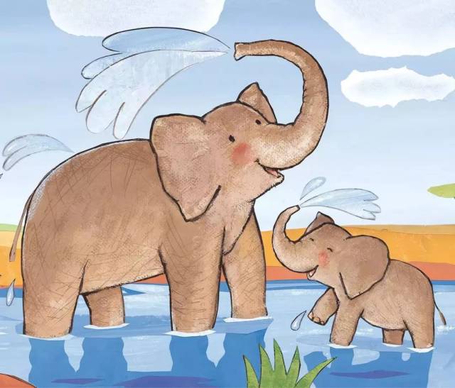 睡前故事丨大象妈妈救了野猪宝宝