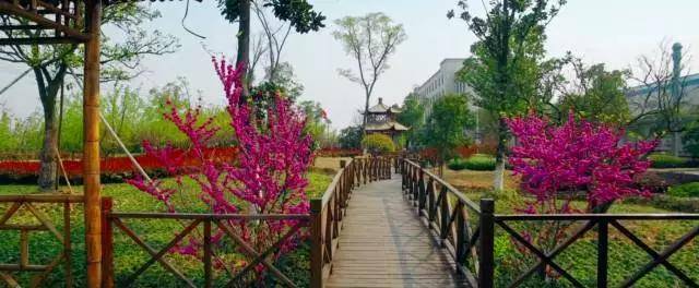 天能登上国家级期刊《地球》杂志，展示绿色智造的天能样板