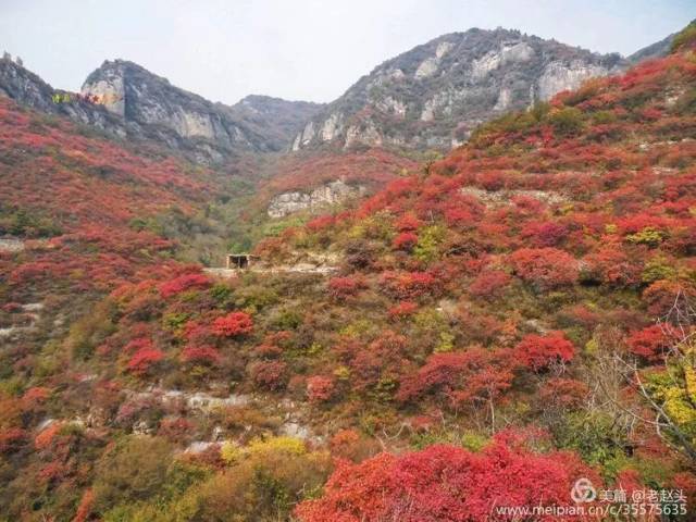 【新闻】金秋已至万山红遍 涉县偏城镇大岩村--红色庄子岭景区!