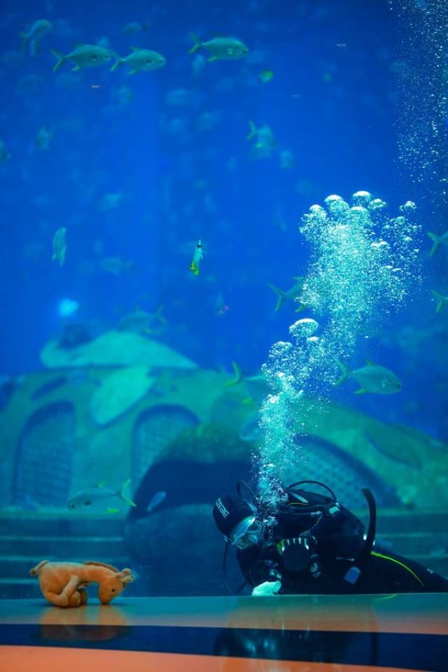 失落的空间水族馆