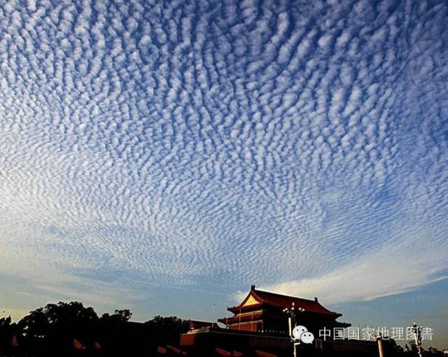 天空中它姿态万千,隐藏着不同的奥秘_手机搜狐网