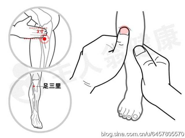 【顺摩腹】