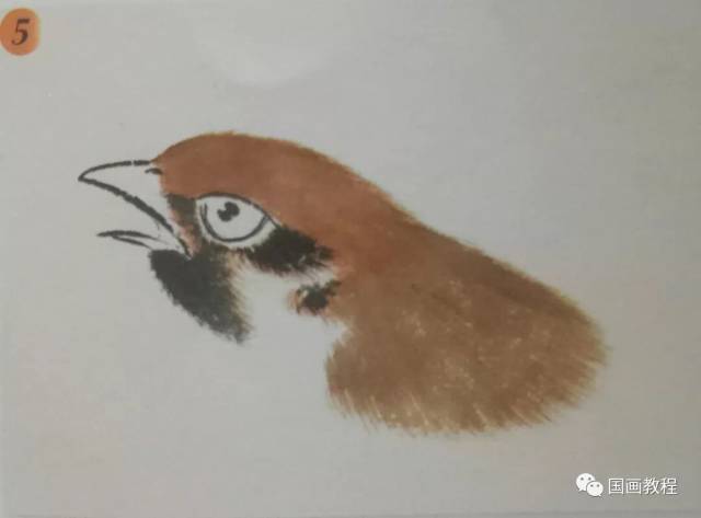 步骤5:笔蘸赭墨,用劈笔画毛法画出鸟的额头,头顶,颈部及肩背的披蓑羽.