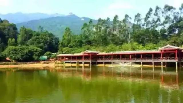 博罗分会场举办罗浮山清水湖客家娘酒美食文化节