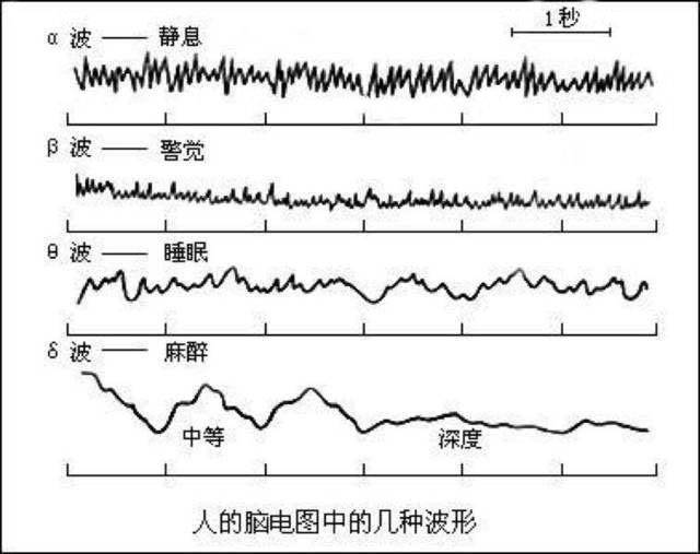 全能右脑α阿尔法波神奇的大脑潜能音乐全脑开发