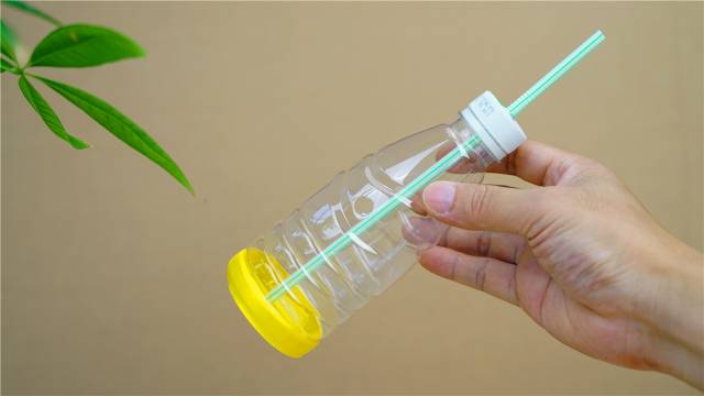魔力科学小实验,塑料瓶不要扔,用它做个空气号角可好玩了
