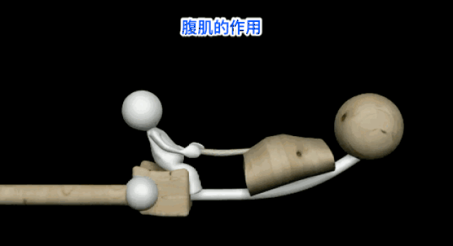 仰卧起坐为什么腰痛?