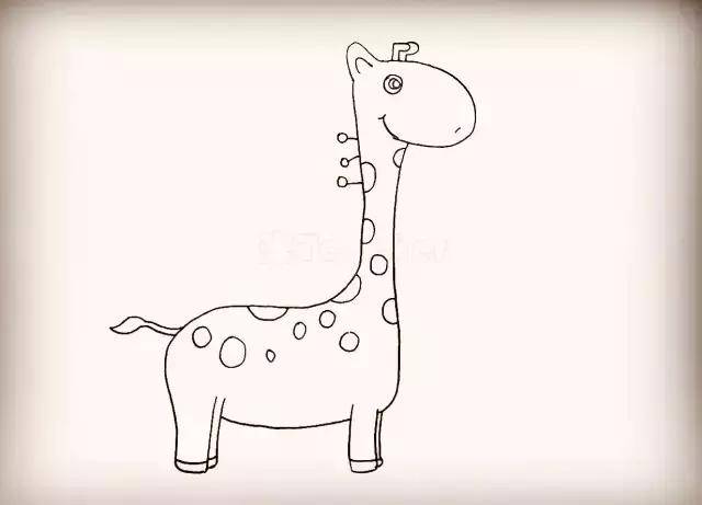 简笔画|可爱的长颈鹿,画在你们的纸上吧