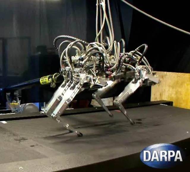 darpa研发的"非洲猎豹"机器人