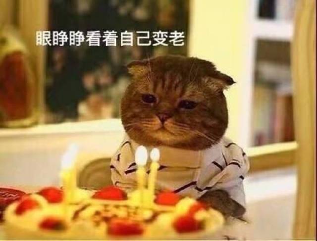 搞笑斗图表情包22张:不知道为什么,悲伤围绕着我