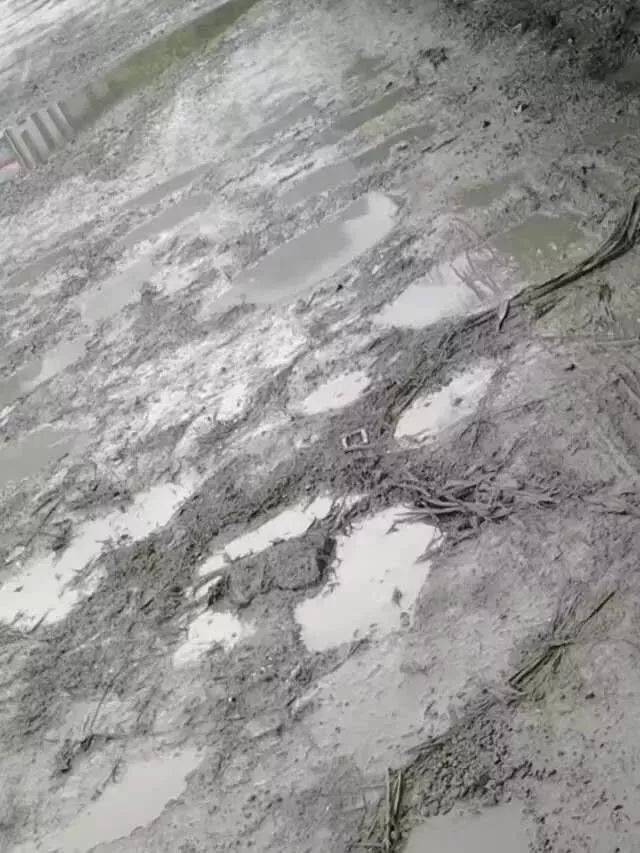 żҽƺ첻Ի,첻!