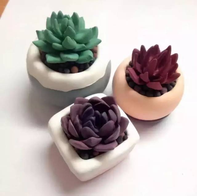 【植物角】这样布置的植物角简直是花园,谁敢说它不美