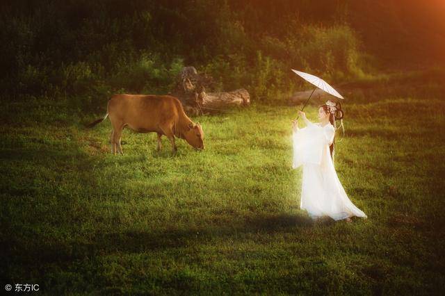 金牛男和狮子女不配,勉强在一起,只会有这样的