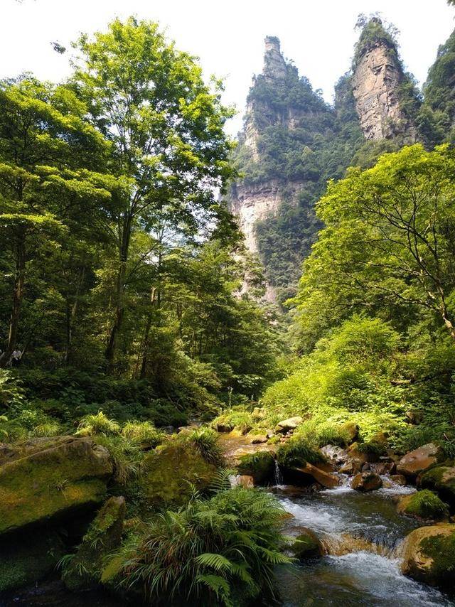 金鞭溪大峡谷 搜狐网