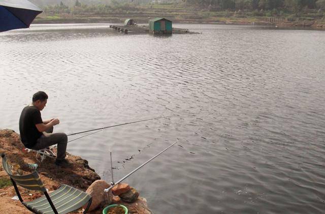 国庆节过后钓鲫鱼如何打窝,钓鱼高手教你一款