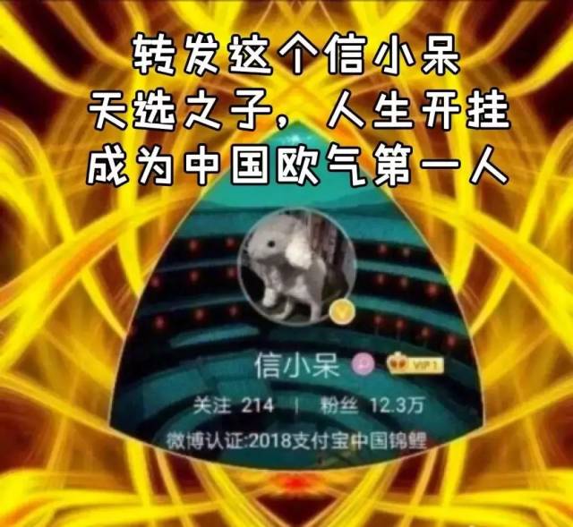 中国锦鲤信小呆